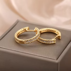 Round zircon crystal hoop earrings Celestia