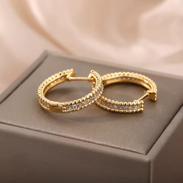 Round zircon crystal hoop earrings Celestia